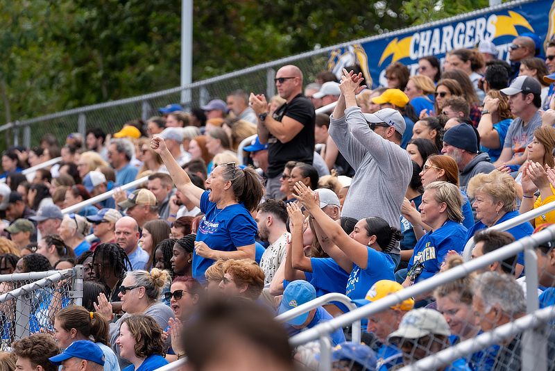 Crowd cheering
