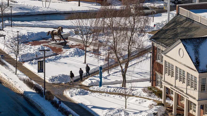 University of New Haven main campus